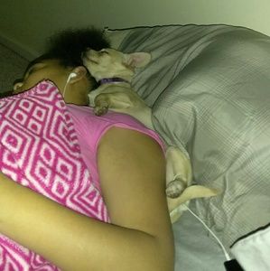 Meet your Posher, Tehya